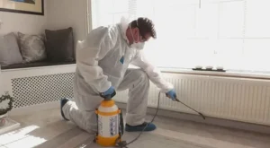 افضل شركة مكافحة حشرات في الشارقة بأفضل الأسعار