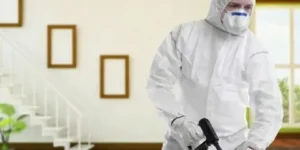 افضل شركة مكافحة حشرات في دبي بأفضل الأسعار