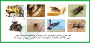 كيفية مكافحة الحشرات