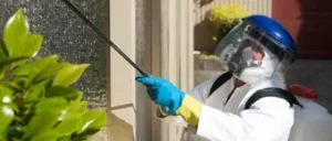 افضل شركة مكافحة حشرات وتعقيم في الامارات