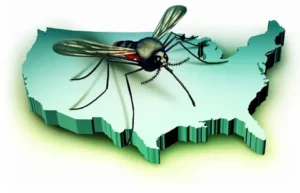 شركة مكافحة البعوض