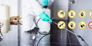 افضل شركات مكافحة حشرات مرخصة ومعتمدة وامنة عن تجربة