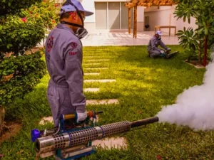 ما هي افضل شركات مكافحة الحشرات عن تجربة مرخصة 2025