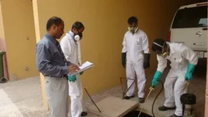 مكافحة حشرات في الإمارات مع سرعة استجابة وخدمة 24 ساعة