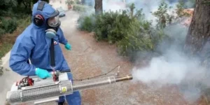 أسعار شركات رش المبيدات المرخصة في الإمارات