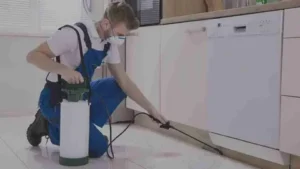 أفضل شركة مكافحة حشرات صديقة للبيئة للمنازل والفلل في الإمارات