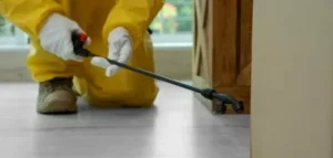 مكافحة حشرات فورية في دبي