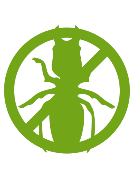 النمل الابيض