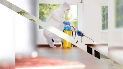 شركة رش مبيدات مرخصة في الإمارات